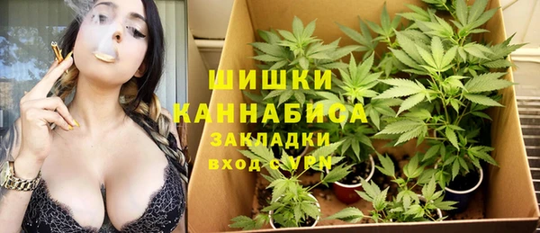 сатива Абдулино