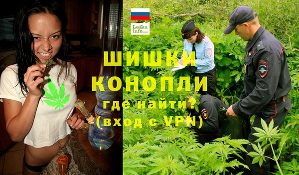 сатива Абдулино