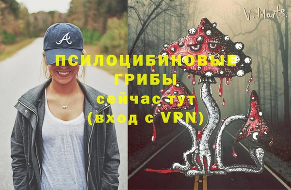 сатива Абдулино