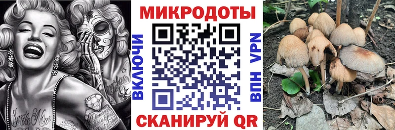 МЕГА ONION  где найти наркотики  Калининград  Галлюциногенные грибы MAGIC MUSHROOMS 