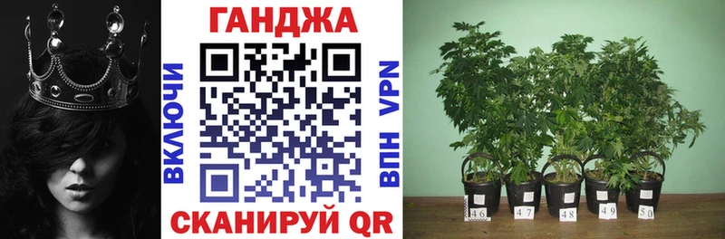 блэк спрут ТОР Калининград Конопля тримм